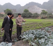 An toàn thực phẩm và những câu chuyện phía sau báo cáo