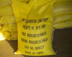 Hóa chất Poly Aluminium Chloride (PAC 31%)